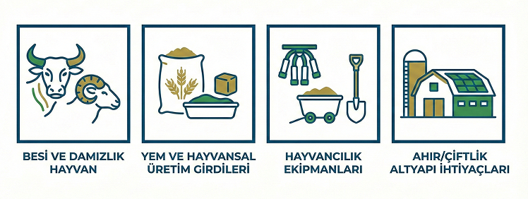 Neler Alabilirsiniz?